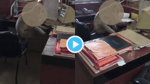 Indian Railway New Joinee Monkey On Duty To Give Ticket To Train Passengers His Speed Will Make You Dizzy Watch Video Here