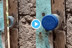 Jugaad Video: दारावर कडी नाही नुसतं बाटलीचं झाकण आणि मग.. ; ४ कोटी लोकांनी पाहिला पठ्ठ्याचा जुगाड Jugaad Video Man Put Bottle Cap Instead Of Lock On Door You Will Not Believe The Magic Results 4 Crores People Impressed