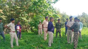 Armed jawans to prevent illegal felling of trees