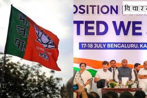 पोटनिवडणुकीने भाजपला धडा शिकवला की ‘इंडिया’ला? BJP-INDIA