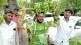 Banana producers in Jalgaon flood victims