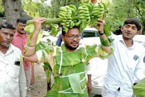 जळगावातील केळी उत्पादक विमाधारकांसह पूरग्रस्तांना तत्काळ मदत द्या; स्वाभिमानी शेतकरी संघटनेतर्फे निवेदनरूपी केळी पान जिल्हाधिकार्यांना सुपूर्द Banana producers in Jalgaon flood victims