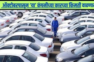 car Price Hike