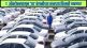 car Price Hike