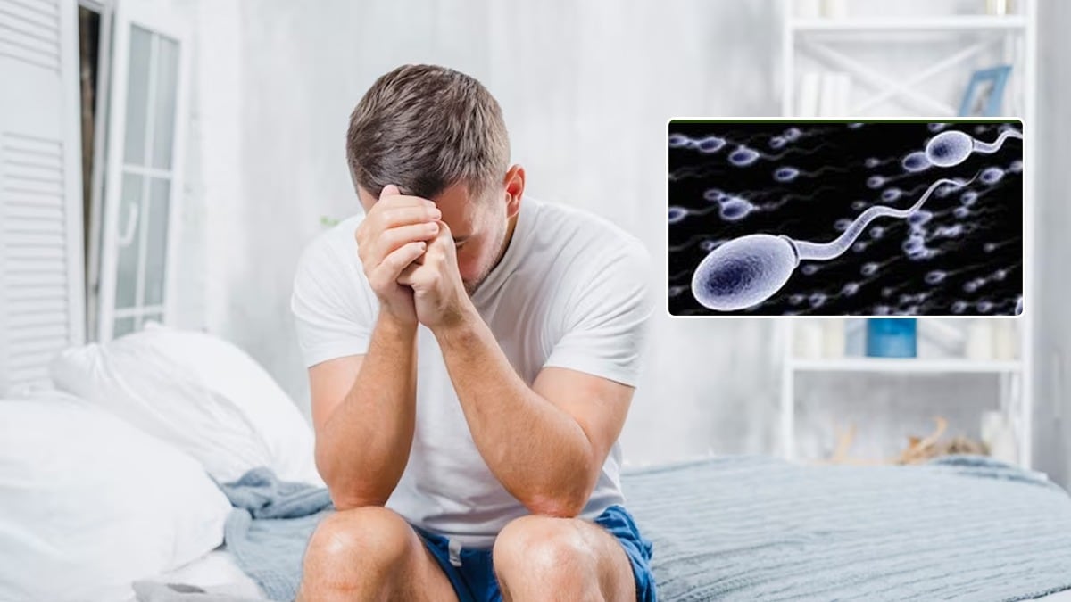 Does Masturbation Reduce Sperm Count