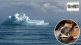 Global warming due to animal husbandry