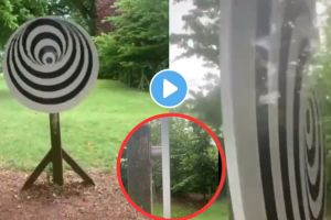 amazing optical illusion