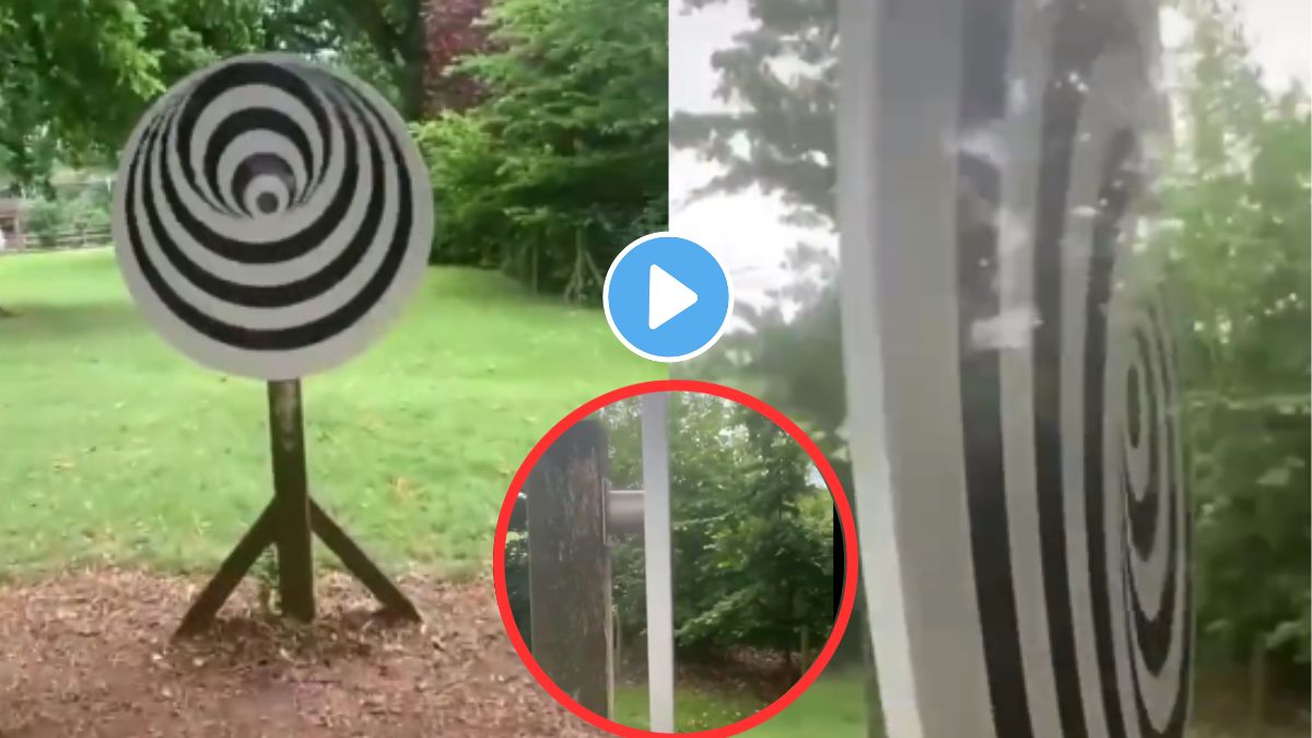 amazing optical illusion