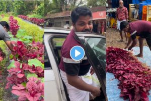 “कष्टाचं फळ…” भाजी विकण्यासाठी चक्क ऑडीमधून जातो ‘हा’ शेतकरी, VIRAL व्हिडिओ पाहून नेटकऱ्यांनी केलं कौतुक, म्हणाले… Farmer arrives in his Audi car to sell vegetables