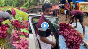 Farmer arrives in his Audi car to sell vegetables