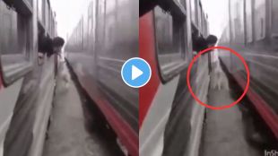 Horse trapped between two high-speed trains