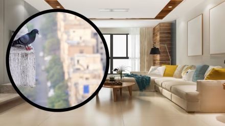 Tenant defrauded landlord of Rs 15 lakhs