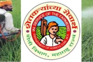 पदवीधरांना कृषी विभागात नोकरीची मोठी संधी! कृषी सेवक पदाच्या २०७० जागांसाठी भरती सुरु, जाणून घ्या सविस्तर Krushi Sevak Bharti 2023