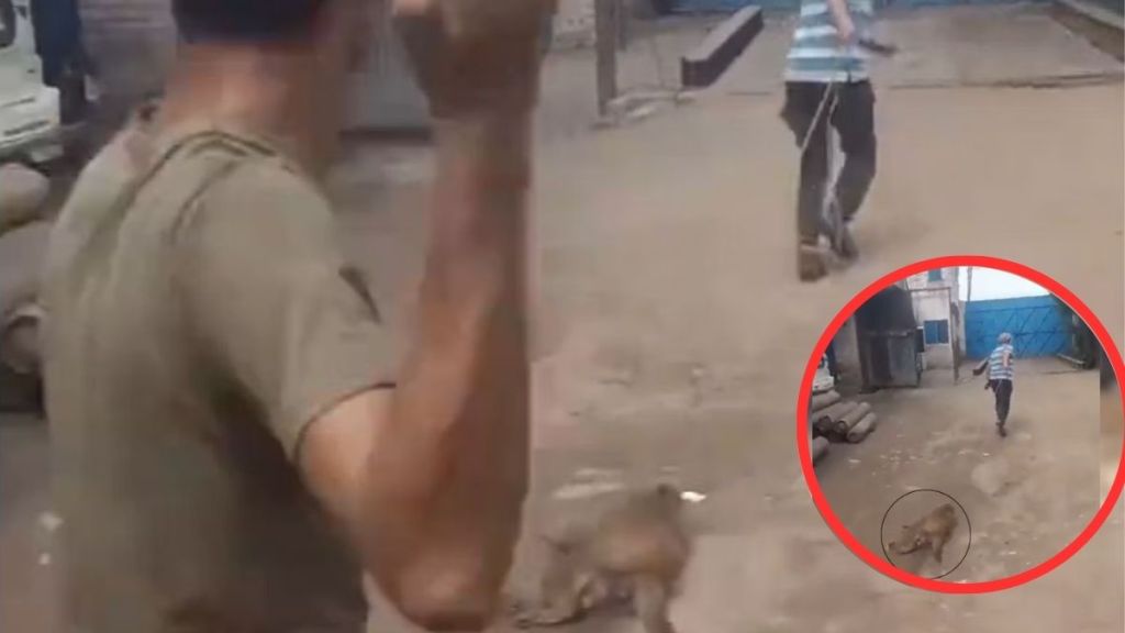 Men Tie Rope Around Monkey’s Neck