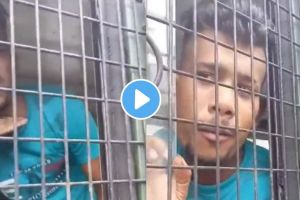 Pushpa Bengal Criminal Video