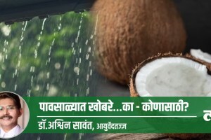coconut in rainy season