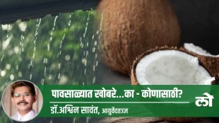 coconut in rainy season