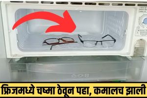Kitchen Jugaad: फ्रिजमध्ये दहा मिनिटे चष्मा ठेवून पहा, परिणाम पाहून विश्वास बसणार नाही! Kitchen Jugaad