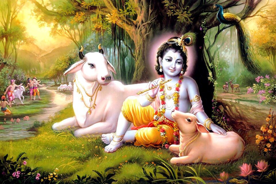 Krishna Janmashtami 2023 In School Navi Mumbai