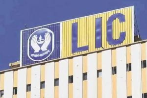 ‘एलआयसी’कडून केंद्राला १,८३१ कोटींचा लाभांश dividend from LIC to the Central government