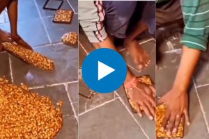 Love to eat peanut Chiki Viral video from factory think 100 times before eating it