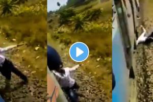 हात बाहेर काढताच खांबाला धडकला; धावत्या ट्रेनमधून खाली पडला अन् थेट रुळाखाली गेला, अंगावर काटा आणणारा Video man fell on track from running train shocking video viral on social media
