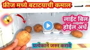 kitchen tips in marathi potato use in fridge save electrictity light bill kitchen jugaad video viral