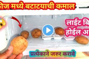 Kitchen Jugaad: फ्रिजमध्ये बटाट्याची कमाल! झोपण्याधी फक्त एकदा…पहिल्याच महिन्यात अर्ध्यापेक्षा कमी येईल वीज बिल kitchen tips in marathi potato use in fridge save electrictity light bill kitchen jugaad video viral