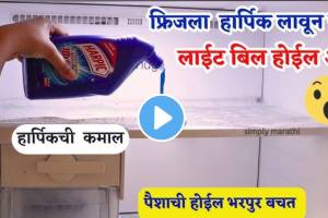 Kitchen Jugaad: फ्रिजला फक्त एकदा लावा हार्पिक, पहिल्याच महिन्यात अर्ध्यापेक्षा कमी येईल लाइट बिल kitchen tips in marath harpic in fridge cleaning tips how to saved electricity light bill kitchen jugaad video