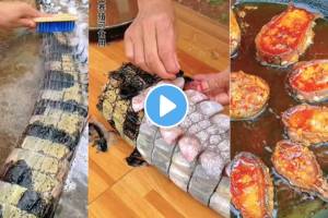 Crocodiles tail was rubbed and washed then fried and eaten a strange video of a young girl