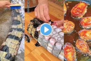 VIDEO: मगरीचं शेपूट घासून धुतलं मग तळून खाल्लं; नेटकरी म्हणतात, “आता हेच पाहायचं राहिलं होतं” Crocodiles tail was rubbed and washed then fried and eaten a strange video of a young girl