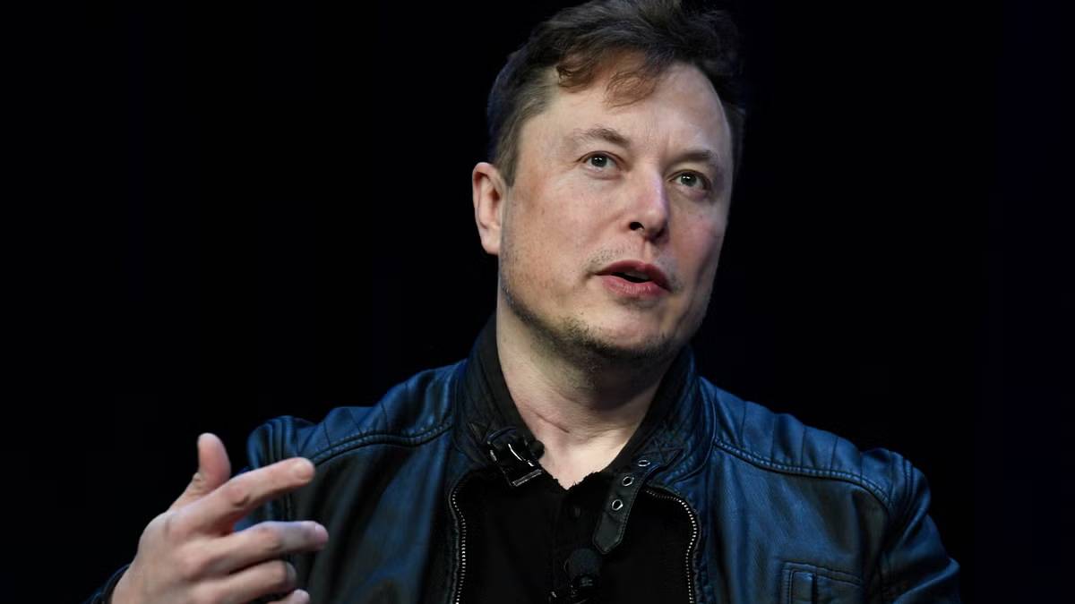 Elon Musk Wikipedia offer
