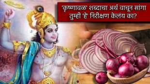 Dahi Handi Special Marathi Story Why Onion Is Known As Shri Krishna Govinda Did You Observe These When Cutting Kanda