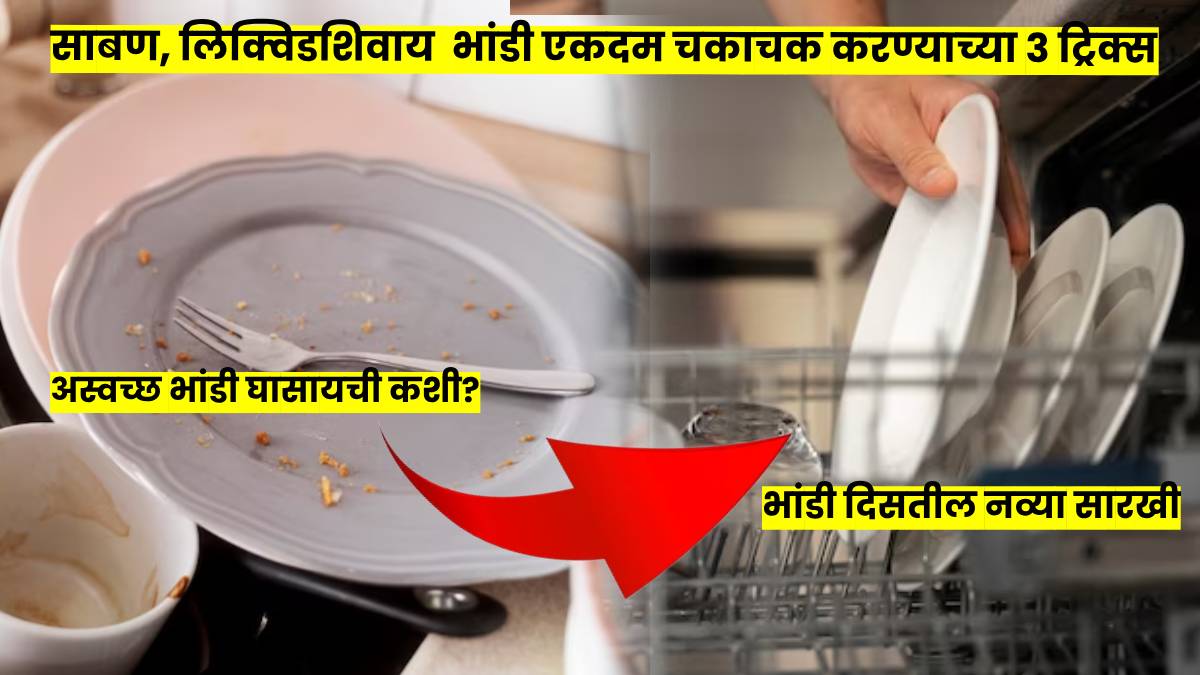 hacks to wash utensils without dish wash soap
