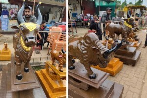 गडचिरोली : अबब… ‘या’ लाकडी बैलजोडीची किंमत वाचून तुम्हालाही फुटेल घाम, जिल्हाभरात चर्चेचा विषय Nandi price Gadchiroli