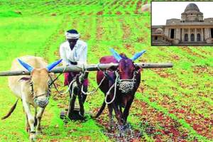Loan Waiver Eligible Farmers