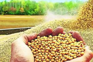 Duty reduced edible oil