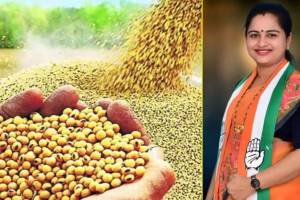सोयाबीन उत्पादक शेतकऱ्यांना एक लाख हेक्टरी मदत द्या, आमदार प्रतिभा धानोरकर यांची मागणी MLA Pratibha Dhanorkar