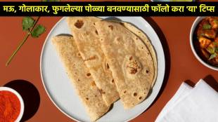 Step by step guide to make round chapati or gol roti how to make perfect soft round gol roti poli