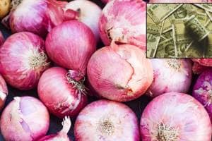 onion Chandrapur