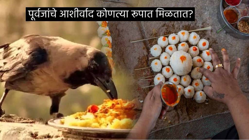 Pitru Paksha Shradhh Dates Tithi Never Make These 5 Living Things Go Empty Hand From Home Pinddan Rules Tarpan Mahiti