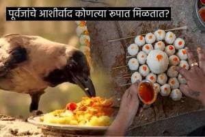 Pitru Paksha Shradhh Dates Tithi Never Make These 5 Living Things Go Empty Hand From Home Pinddan Rules Tarpan Mahiti