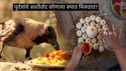 Pitru Paksha Shradhh Dates Tithi Never Make These 5 Living Things Go Empty Hand From Home Pinddan Rules Tarpan Mahiti