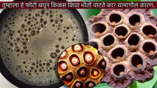 Do You Feel Icky Looking At Small Holes of Lotus or Bubbles Does It Make You Vomit Know The Real Reason of Trypophobia