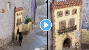 In Spain a street artist has created a home for a cat by drawing on the wall