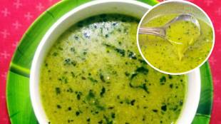 Healthy Recipe Shengdanyach Jhirak jhrak recipe in marathi