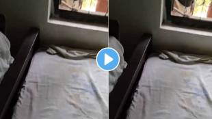 Viral Video Of Snake Hiding In House Under Bed In Bedroom Shocking Rescue Video Goes Viral