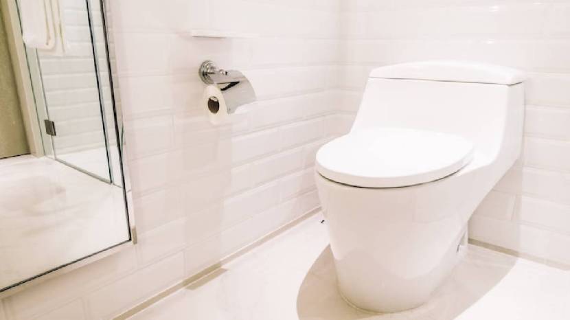 आरोग्याच्या दृष्टीने टॉयलेट-बाथरुम स्वच्छ असणे खूप गरजेचे आहे. परंतु कित्येकवेळा टॉयलेट-बाथरुम साफ केले तरी त्यातून दुर्गंध येतो. त्यामुळे आम्ही काही सोपे किचन हॅक्स तुम्हाला सांगणार आहोत, ते टॉयलेटची साफसफाई करण्यात मदत करू शकतात.(Photo - Freepik)