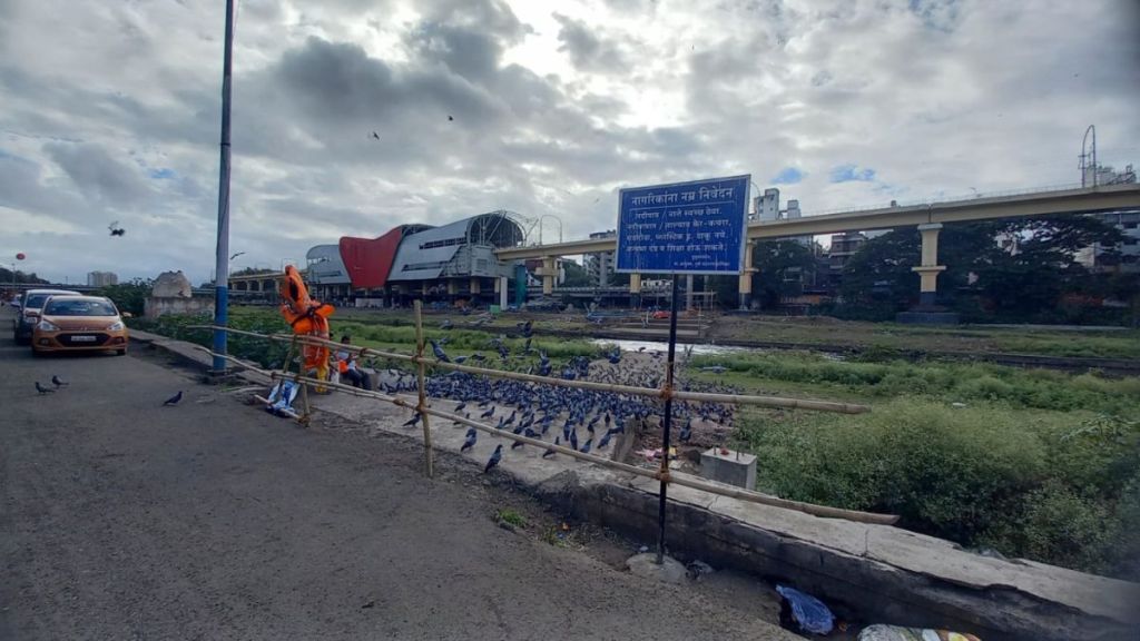 Prohibition of immersing Ganpati in the river