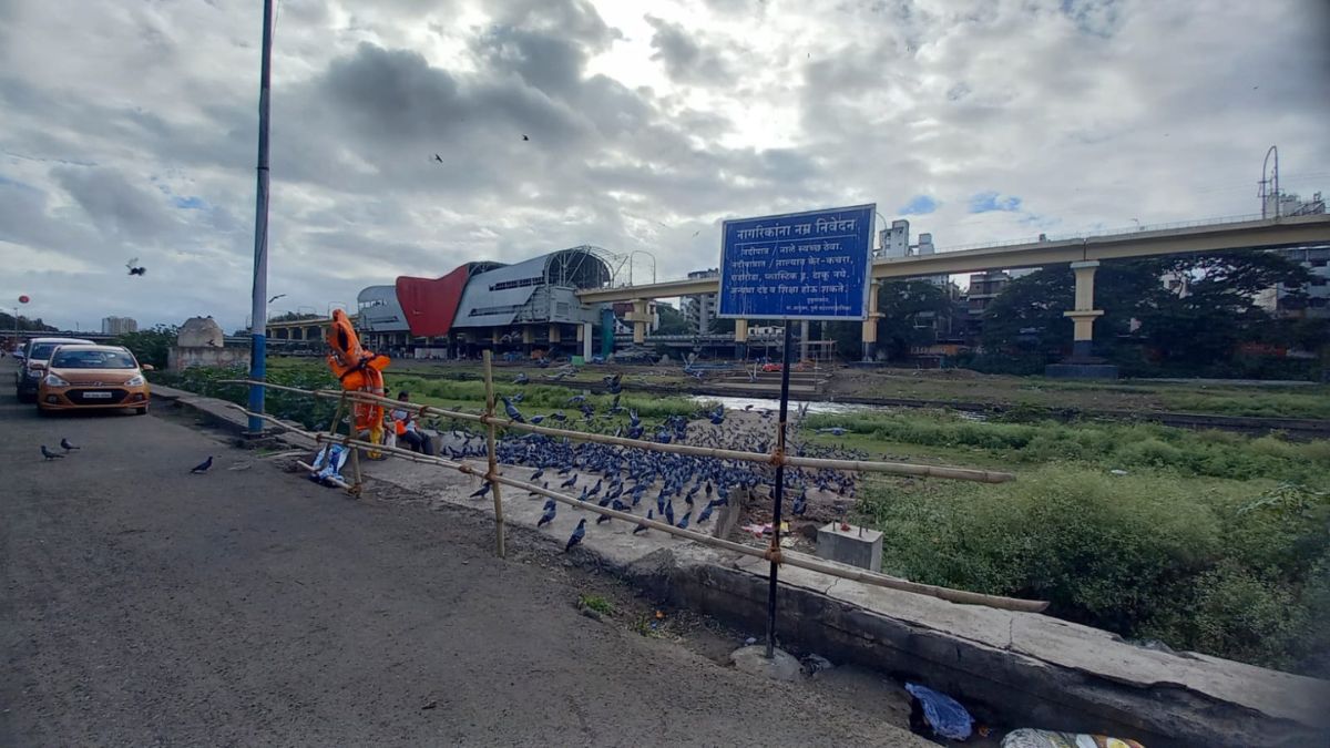Prohibition of immersing Ganpati in the river